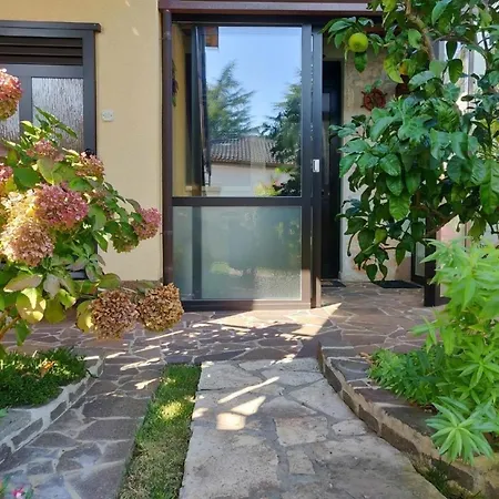Apartment Tolles In Mit Grill, Terrasse Und Garten